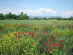 Landscape of the Skopje valley, near Bardovci