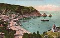 La baie d'Avalon dans les années 1910.