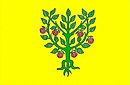 Drapeau de Granyena de les Garrigues