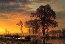 Landscape painting with bison drinking from the stream's edge and teh sun just above the horizon