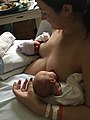 Newborn twins being breastfed
