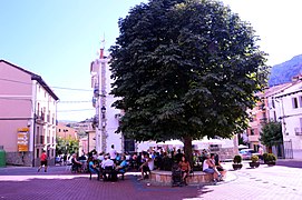 Detalle del castaño de indias (Aesculus hippocastanum) en la plaza Mayor