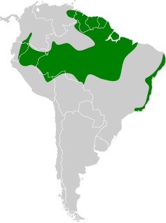 As florestas da região neotropical (mapa), no Caribe (Tobago), norte e oeste da América do Sul, até região sudeste do Brasil (no Rio de Janeiro), são o habitat do tangará-falso.[3]