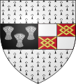 Image 10Crest of County Kilkenny