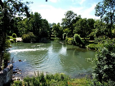 L'Indre en aval du pont de Courçay.