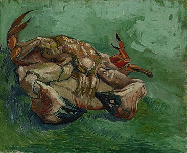 Crab on its Back, by Vincent van Gogh