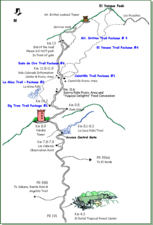 The route of PR-191 through El Yunque National Forest