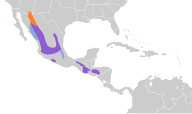 Distribución geográfica del mosquero pechicanelo.