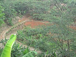 Farmland in La Torre barrio