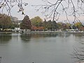 Lower Lake with Potomac Towers in the background