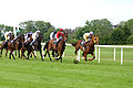 Horse Racing