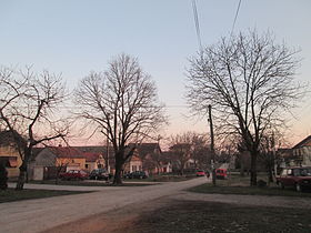 Jarkovci