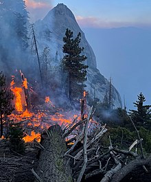 Flames lap at several snags of trees above a steep drop-off, with Moro Rock's granite dome partially shrouded in blue smoke in the background