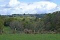 Paysage forestier près de Compreignac.