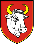 Wappen von Człuchów