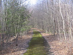 An old road in the Quehanna Wild Area