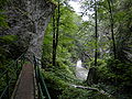 Pathway to the lower gorge