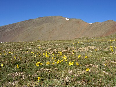 44. The summit of San Luis Peak is the highest point in Colorado's La Garita Mountains.