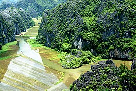 La rivière Ngô Đồng.