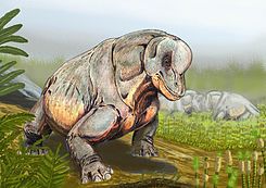 Tapinocephalus