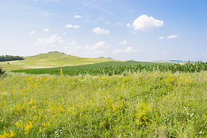 «Чотири кавалери»