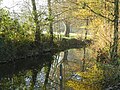 Photographie d'une rivière bordée d'arbres aux couleurs automnales.