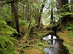 Gwaii-Haanas-Nationalpark