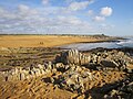 La pointe de Porh Lineneü et la plage en direction de Karreg Vraz.