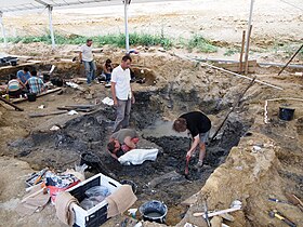 Image illustrative de l’article Site paléontologique d'Angeac-Charente