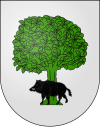 Blason