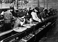 Image 23Ford assembly line, 1913. The magneto assembly line was the first. (from History of technology)