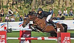 Helios de la Cour II monté par Alexis Gautier au Championnat de France pro Élite de saut d'obstacles de 2010.