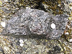 Gneiss du socle d'Ambin (massif du Mont-Cenis), avec une texture micacée proche du micaschiste.