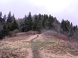 The summit of Inadu Knob, viewed from the A.T.