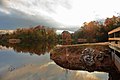 Image 4Fall foliage in North Florida (from Geography of Florida)