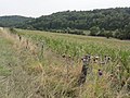 Le paysage entre Souhesme et Rampont.