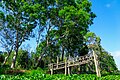 Lung Ngoc Hoang Nature Reserve