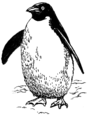 Line drawing of a penguin