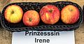 Prinzessin Irene