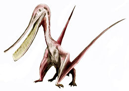 Pterodaustro