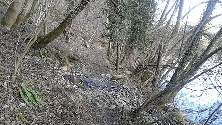 Résurgence de Fêchereux, au bord de l'Ourthe en contrebas de la Roche-aux-faucons