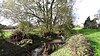 River Colne in Colney Heath