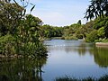 Ornamental Lake, Royal Botanic Gardens