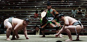 左は関取（琴奨菊和弘）、右は幕下以下の力士である。いずれも蹲踞の姿勢をとっているが、関取は布海苔（ふのり）で固めた下がりを用い、幕下以下は柔らかいままの下がりを用いるため、明らかな違いが見て取れる。前者の下がりは太腿と胴に挟まれて斜め上に跳ね上がり、後者の下がりは太腿の曲面に沿って垂れ下がる。