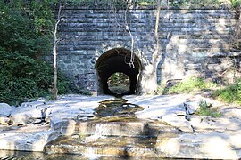 Saw Mill Branch