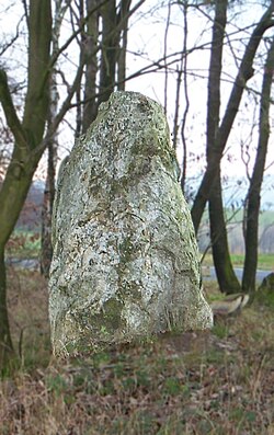 Image illustrative de l’article Menhirs de Schönberg