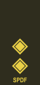 Lieutenant (Seychelles Infantry Unit)[70]