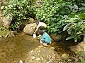 Drinking water point in the wildlife sanctuary