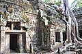 Ta Prohm