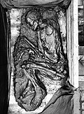 The remains of Tollund Man shortly after his discovery